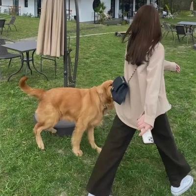 医人当自强